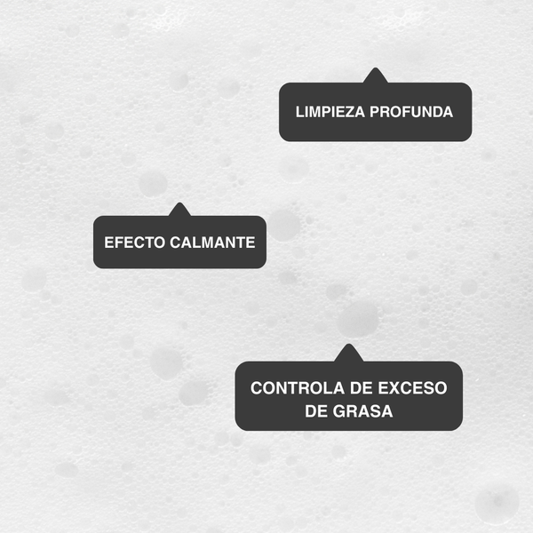 ESPUMA LIMPIADORA MATIFICANTE